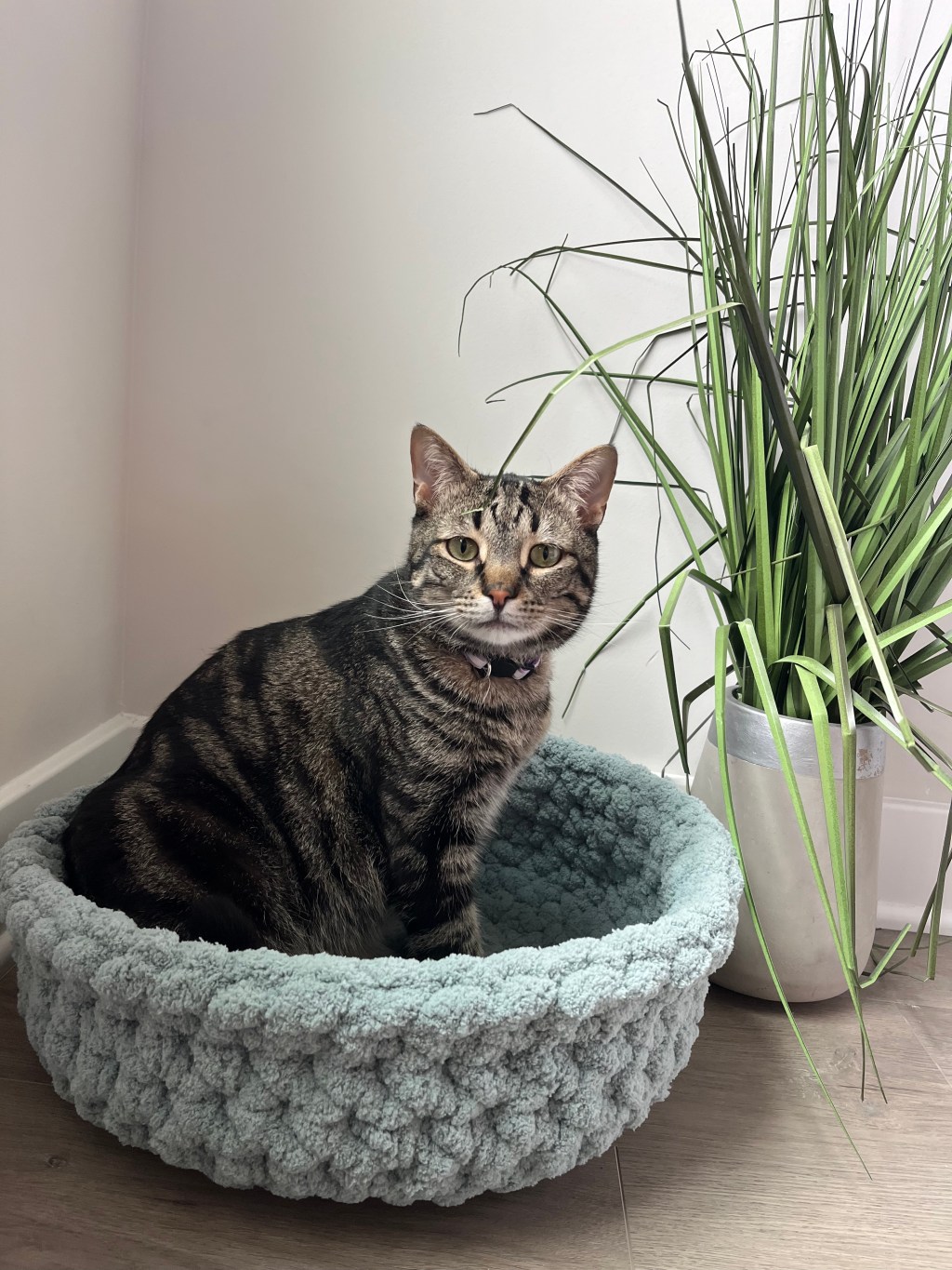 Three Cat Bed Crochet Patterns You’ll&nbsp;Love